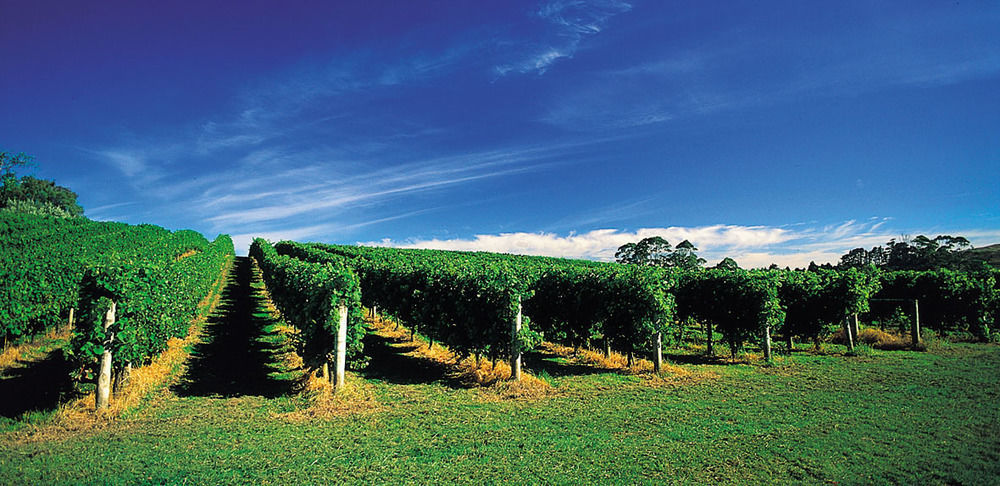 Vineyard Cottages - Kumeu Waimauku Buitenkant foto