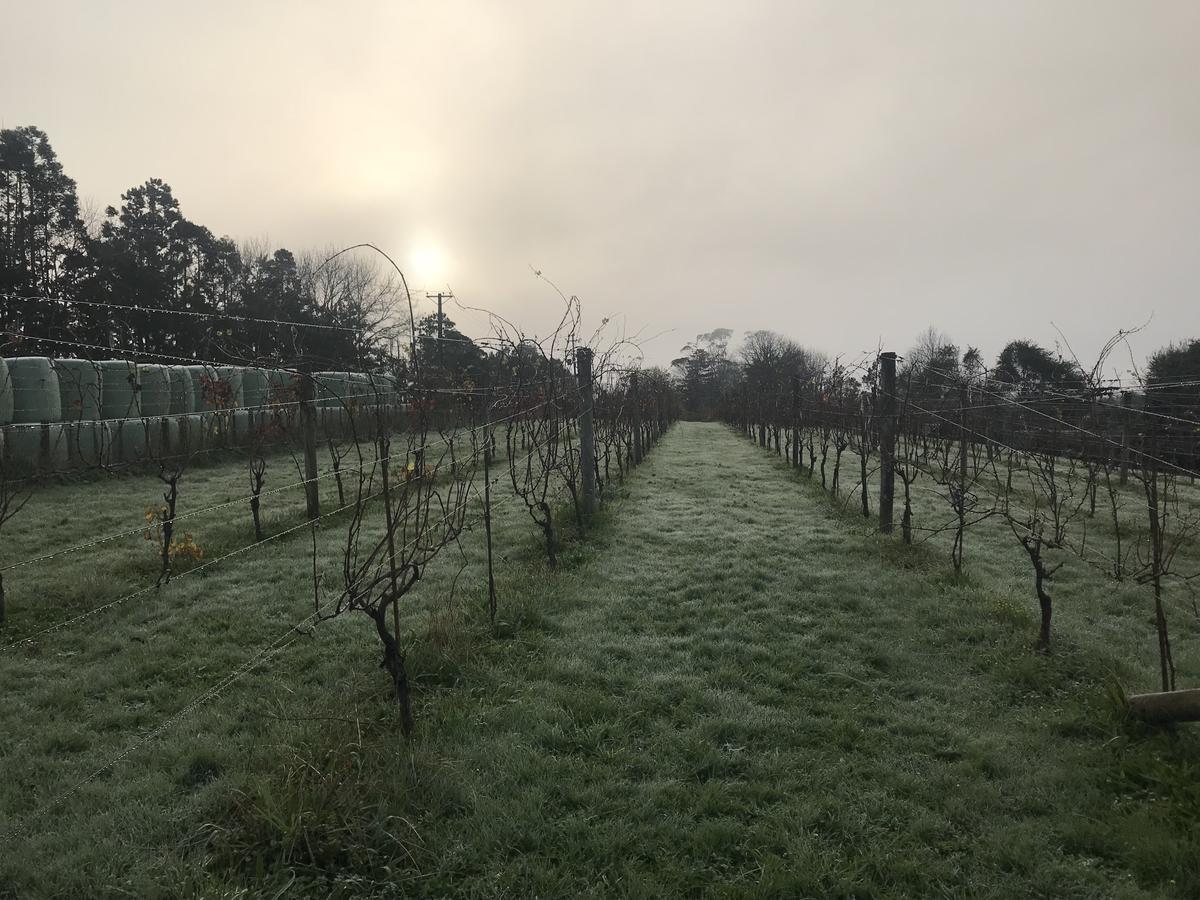 Vineyard Cottages - Kumeu Waimauku Buitenkant foto