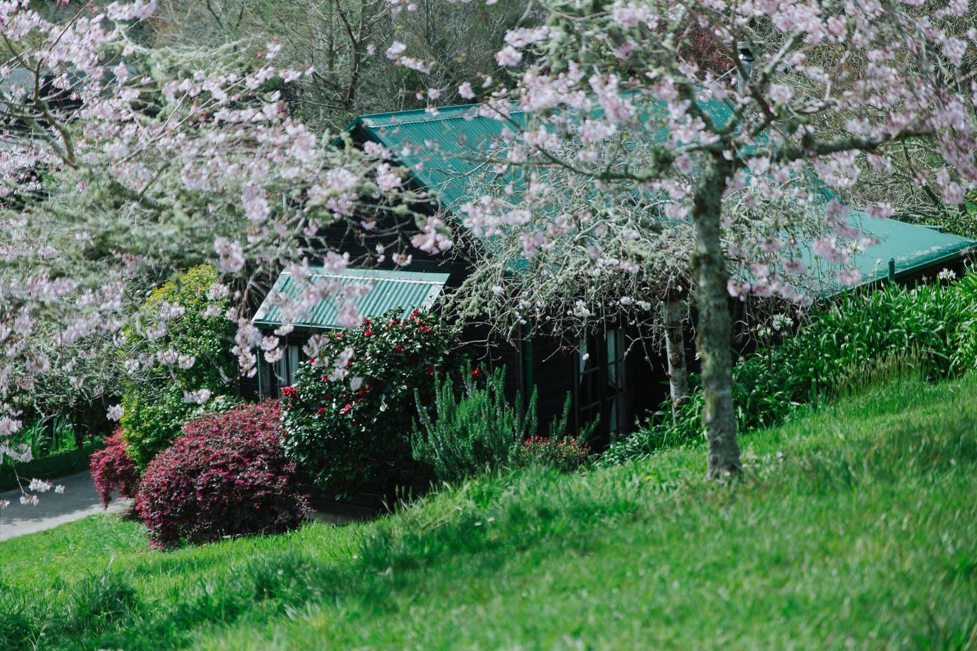 Vineyard Cottages - Kumeu Waimauku Buitenkant foto